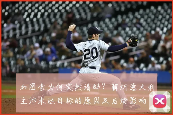 加图索为何突然请辞？解析意大利主帅未达目标的原因及后续影响