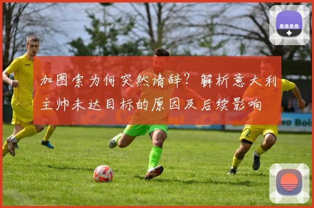 加图索为何突然请辞？解析意大利主帅未达目标的原因及后续影响