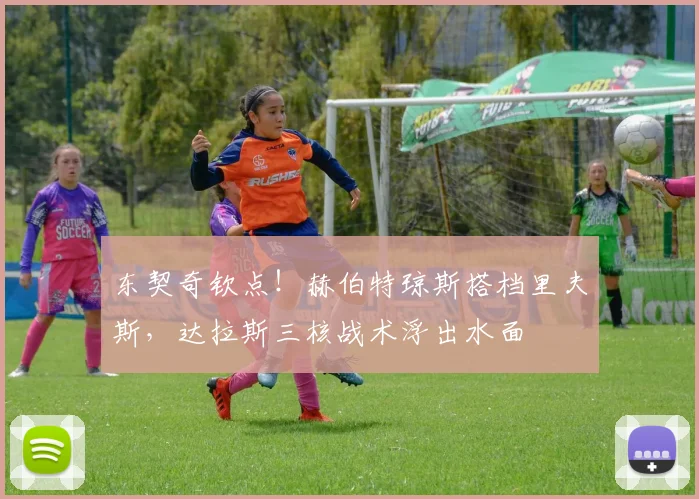 东契奇钦点！赫伯特琼斯搭档里夫斯，达拉斯三核战术浮出水面