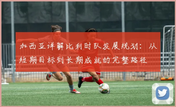 加西亚详解比利时队发展规划：从短期目标到长期成就的完整路径